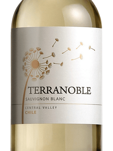 Terranoble Sauvignon Blanc 2023